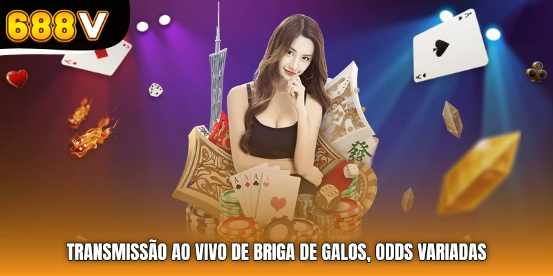 Transmissão ao vivo de briga de galos, odds variadas